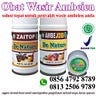 Obat Wasir Herbal Manjur