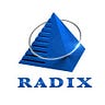 Radixweb