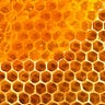 Honey Crypto