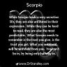 Scorpio's Tale