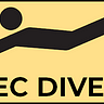 SecDiver