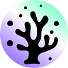 CoralX Finance