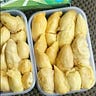 Agen Durian Medan 081359701156