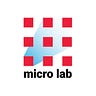 Micro Lab Engineering Club