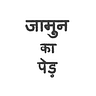 Jamun Ka Ped