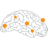 NEURONprocessing