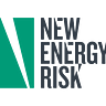 New Energy Risk