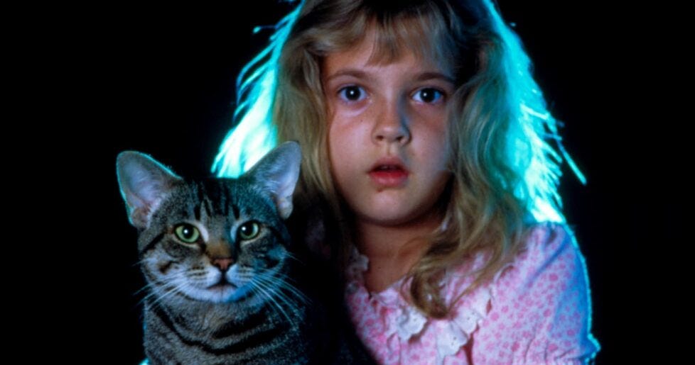 Cat’s Eye (1985) • 4K Ultra HD [StudioCanal] | by Jonathan Jono Simpson | Frame Rated | Medium Cat’s Eye (1985) • 4K... 
