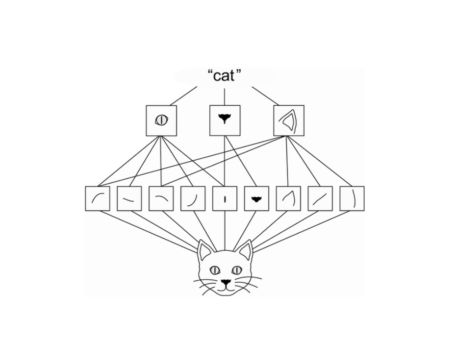 Multiclass Classification Task with Convolutional Neural Networks