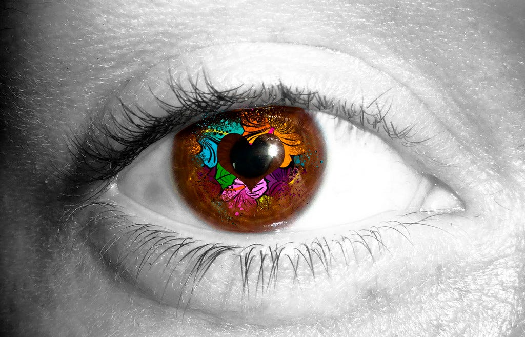 We See You! Reaching Diverse Audiences in FOSS