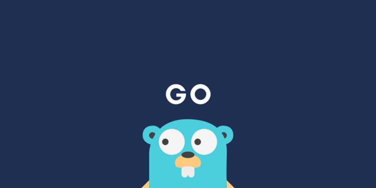 Golang обои на телефон. Golang reader. Golang reader. Go язык программирования. Golang reader.