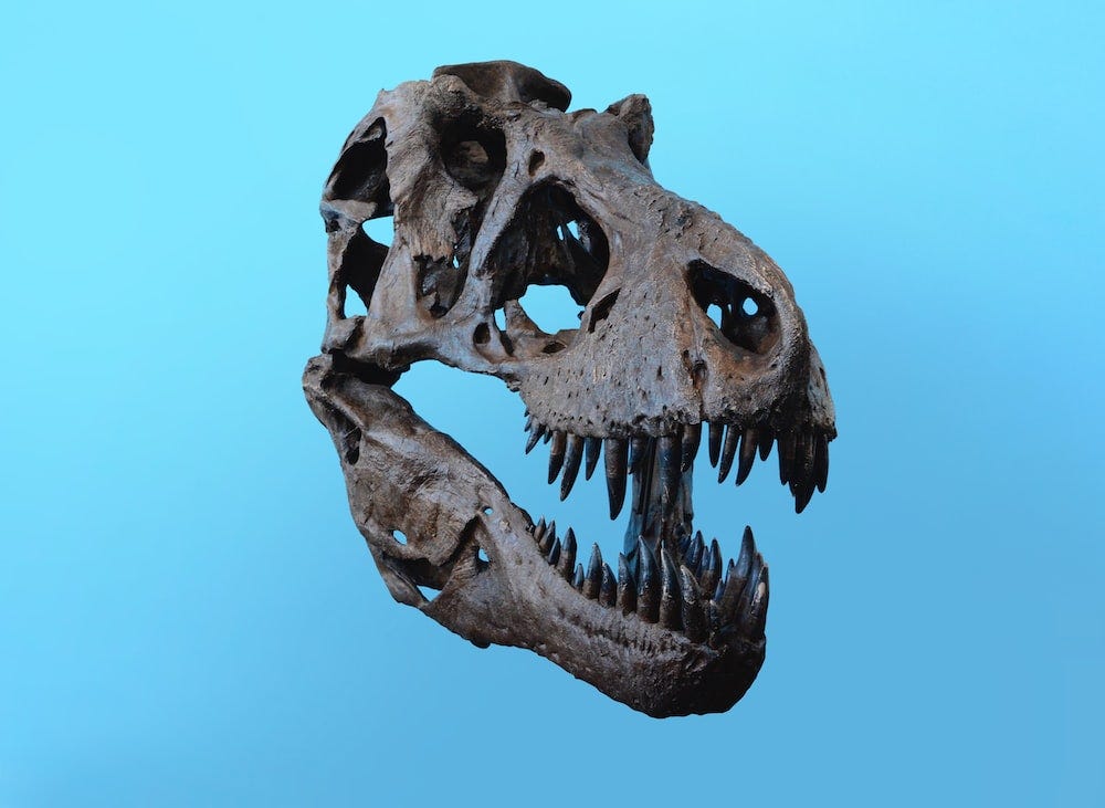 META DINO: how self-supervised learning is changing computer vision