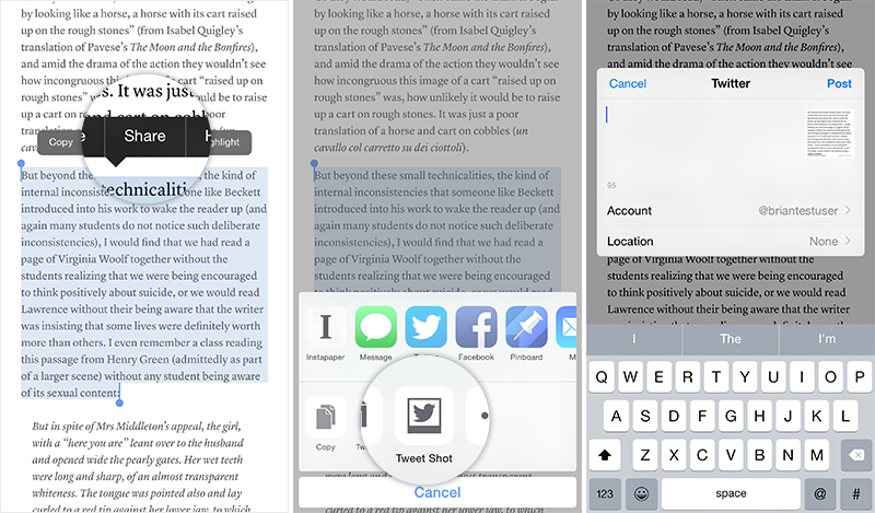 Instapaper Tweet Shots