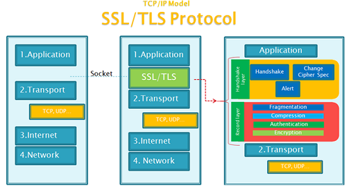 Infrastructure Security| SSL/TLS Certificates and Challenges