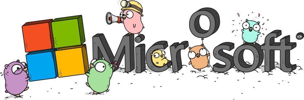 Why I joined Microsoft