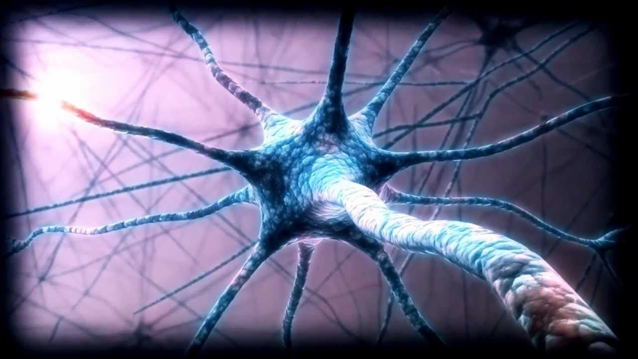 Biocentricism: How Life and Consciousness Are the Keys to Understanding the True Nature of the…