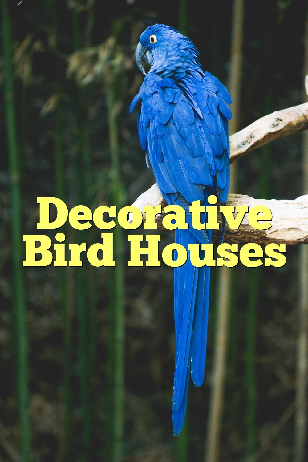 Decorative Bird Houses by Birdsquestions Medium
