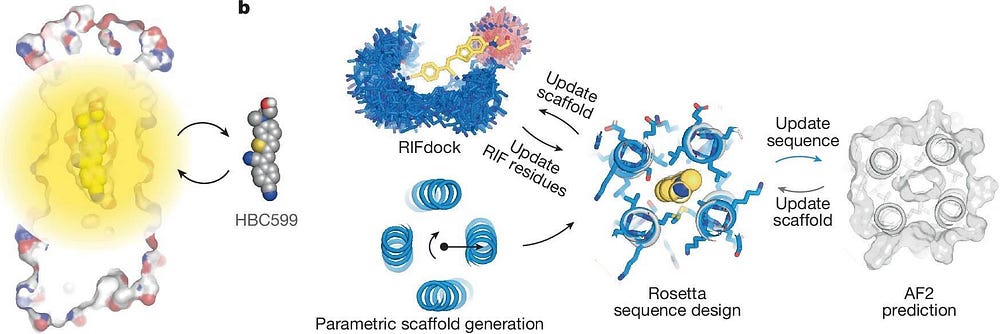AI-Designed Transmembrane Proteins: Glowing Gatekeepers of Cellular Membranes
