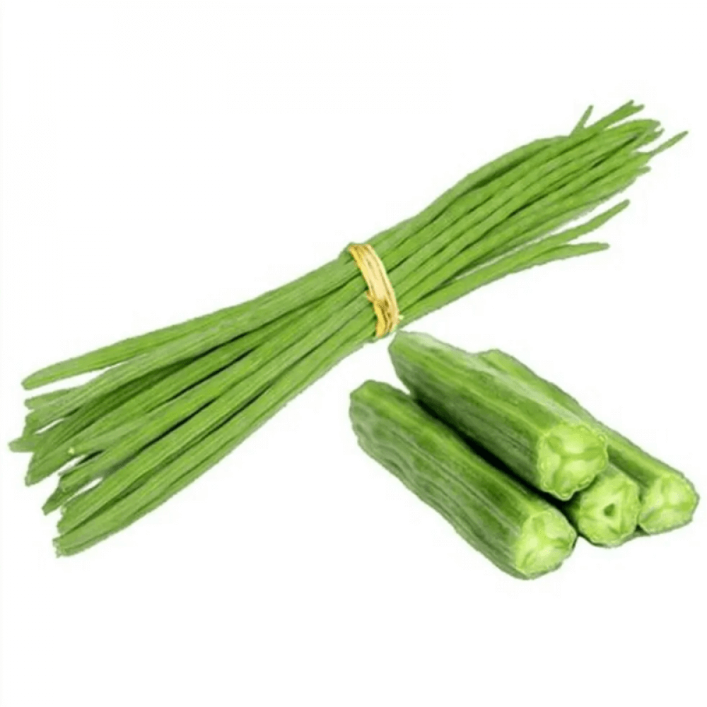 Easy Guide to Growing Nutritious Drumstick Plants in Your Garden