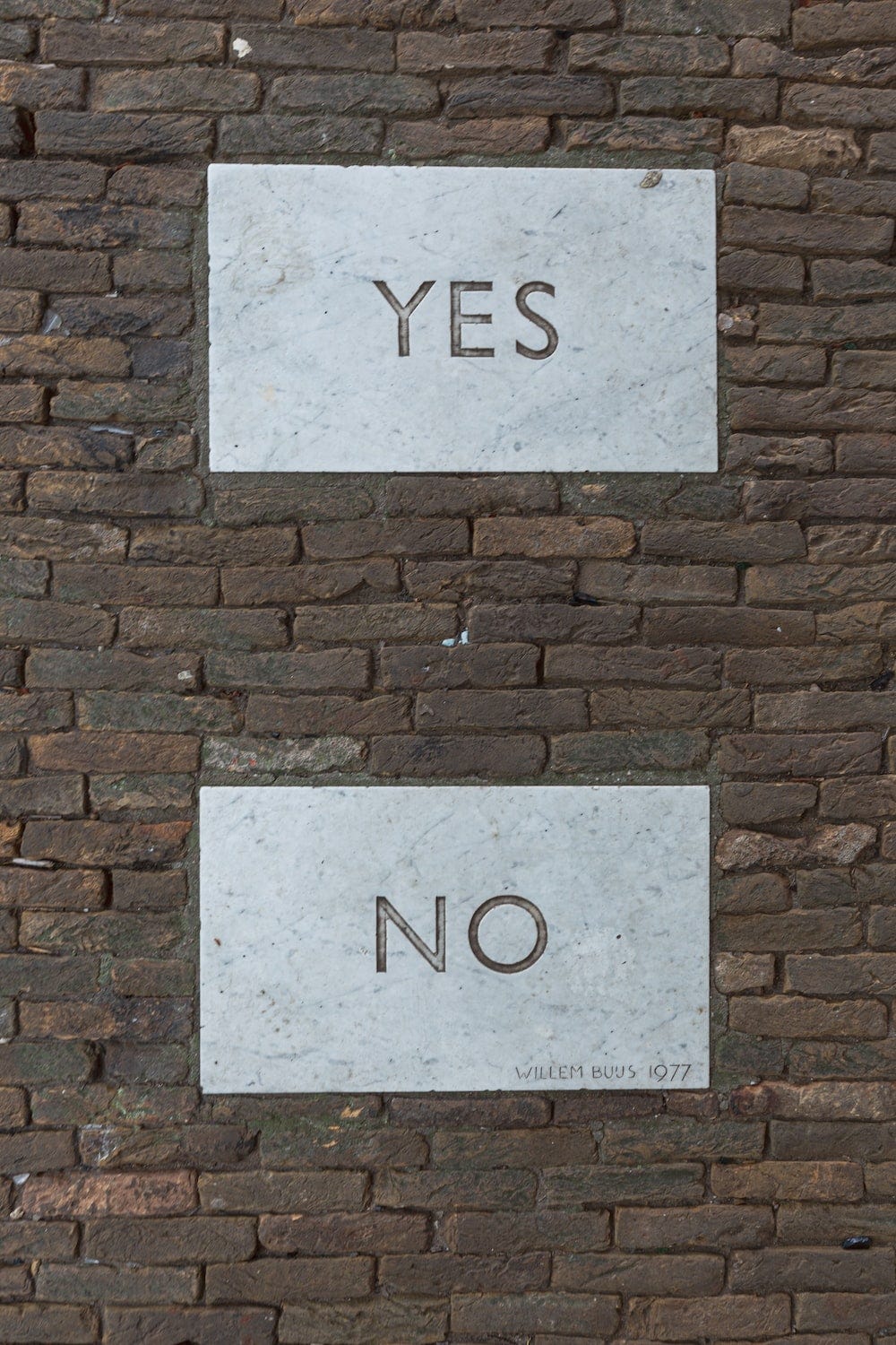 圖片來源_Unsplash