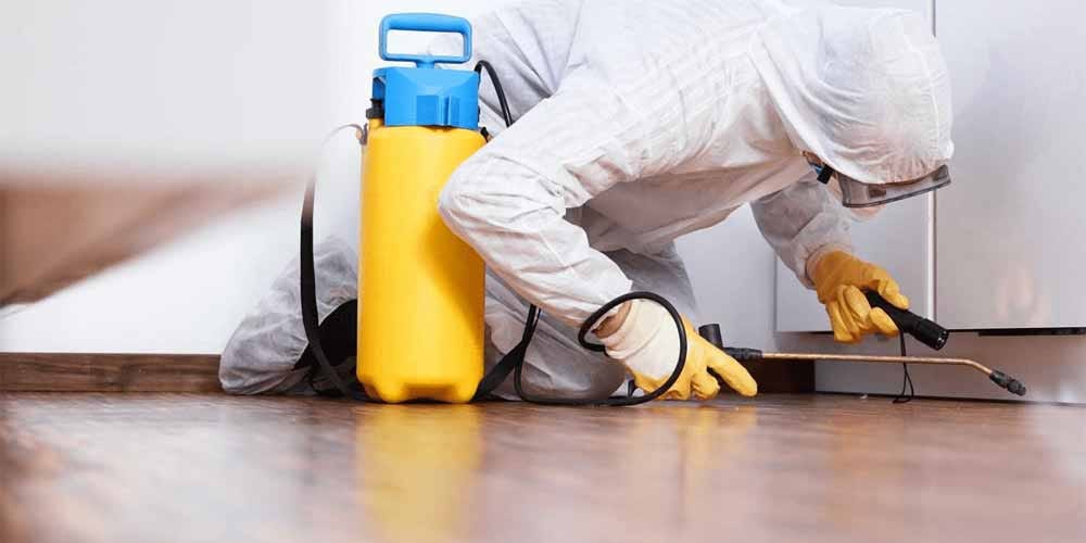 Office Buildings Pest Control Akron