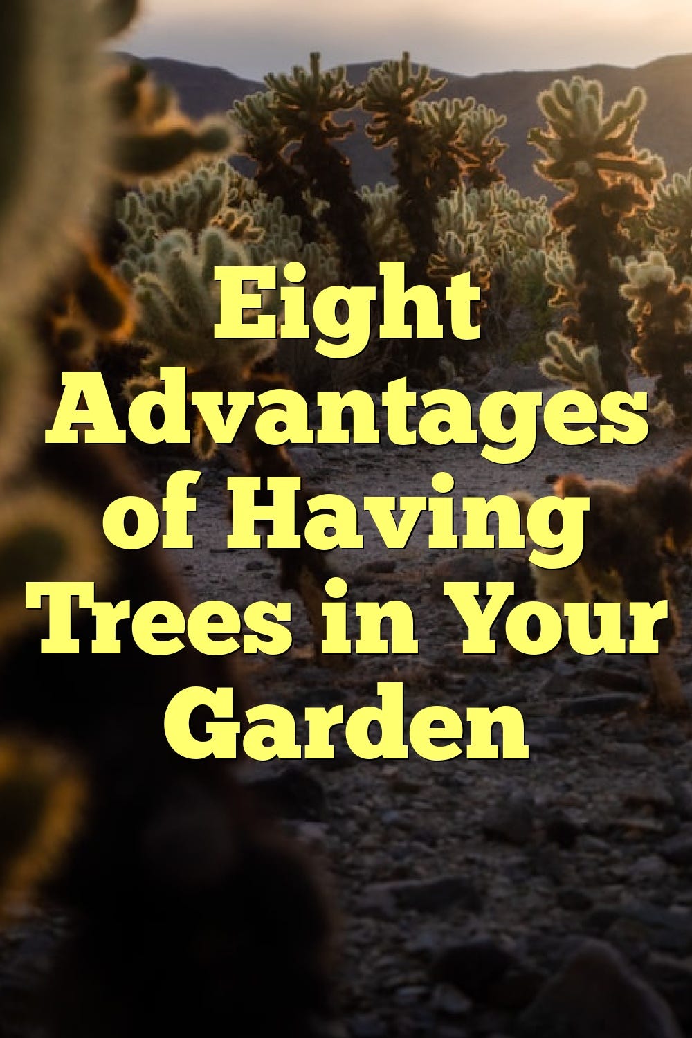 Eight Advantages of Having Trees in Your Garden by Alen Mert Medium