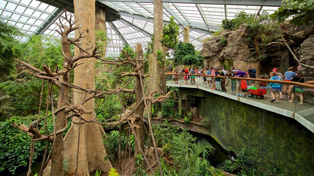 36 Top Cool Restaurants Near Henry Doorly Zoo Ideas Tour | by ...