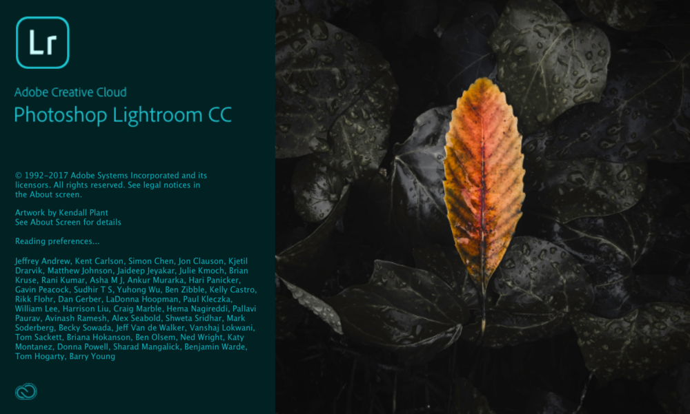 Exploring and making sense of the new Lightroom.
