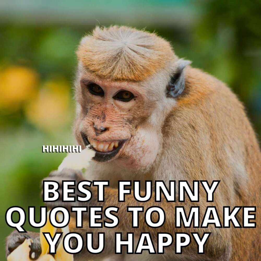 Best Funny Quotes To Make You Happy | by AngelLot | Medium