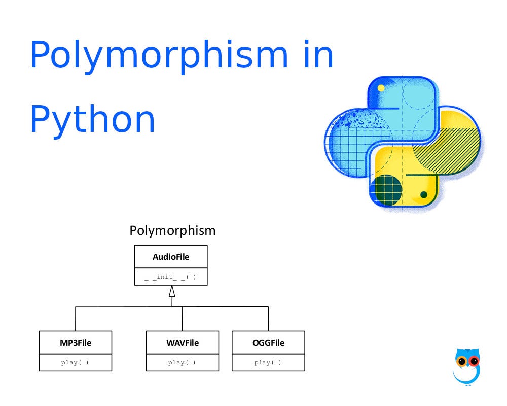 Polymorphism in Python. Polymorphism is broken down into… | by Evansnbr ...
