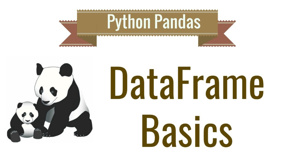 Pandas Review…Again;). Python Review Free Exercises —… | by J3 ...