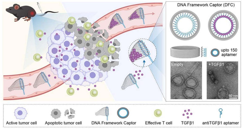 DNA Trash Cans: Outsmarting Tumor Signals with Origami Tech!
