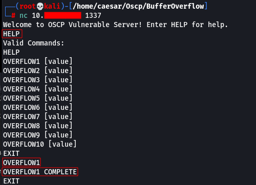 Buffer overflow when try to connect multiplayer on my save game, big base  #140083 no one can play with me because output buffer overflow what is  that mean and how i fix