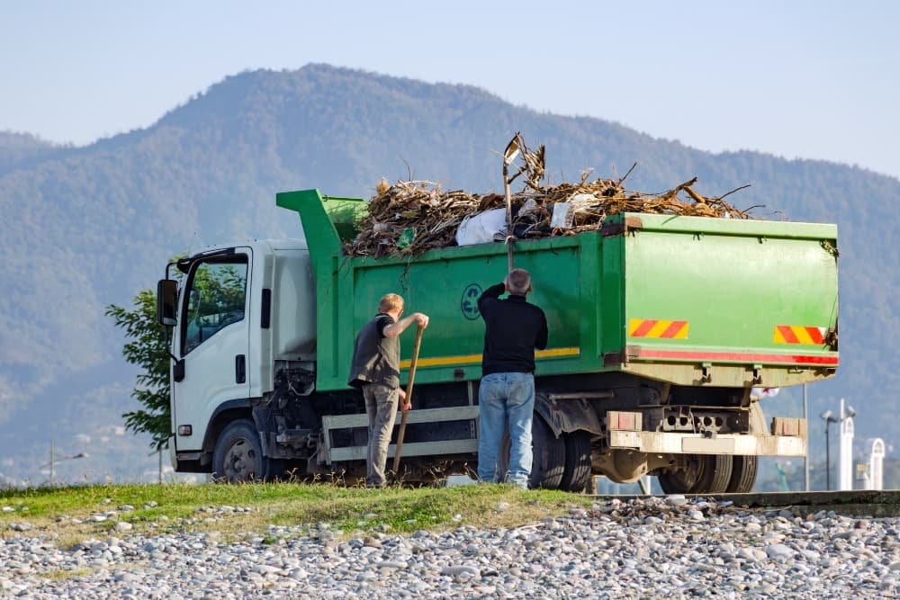 Yard Waste Disposal & Debris Removal