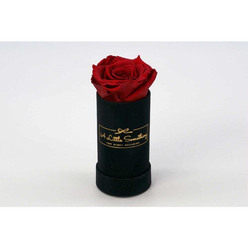 Do Actual Preserved Roses Exist? How are Real Preserved Roses defined