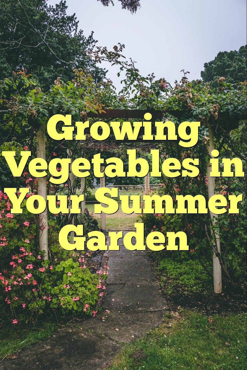 Growing Vegetables in Your Summer Garden by Alen Mert Medium