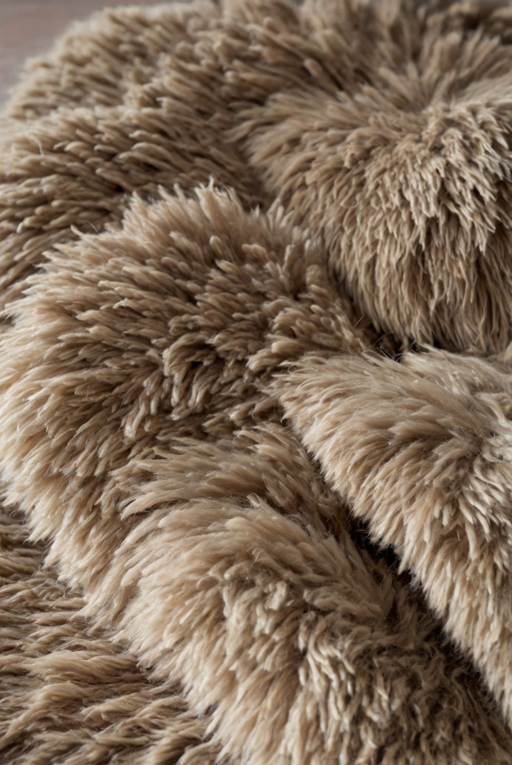 Enhance your living room’s ambiance with a shaggy rug! Discover ...