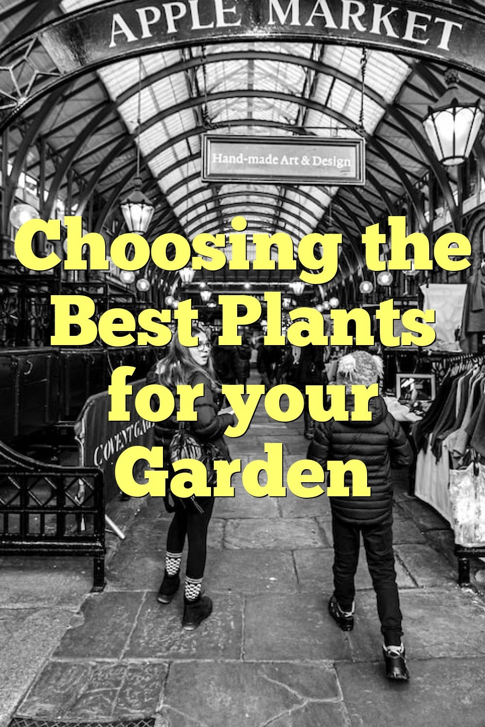 Choosing the Best Plants for your Garden by Alen Mert Medium