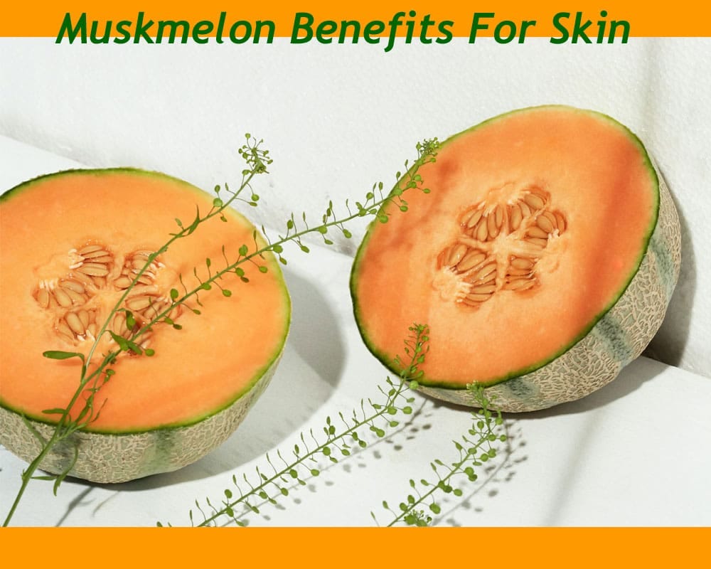 5 AMAZING BENEFITS OF MUSKMELON FOR SKIN Styleons Medium