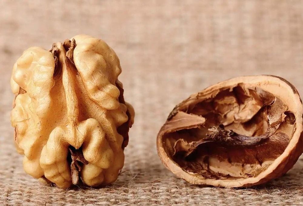 5 Amazing Benefit of Eating Walnuts Daily Medium