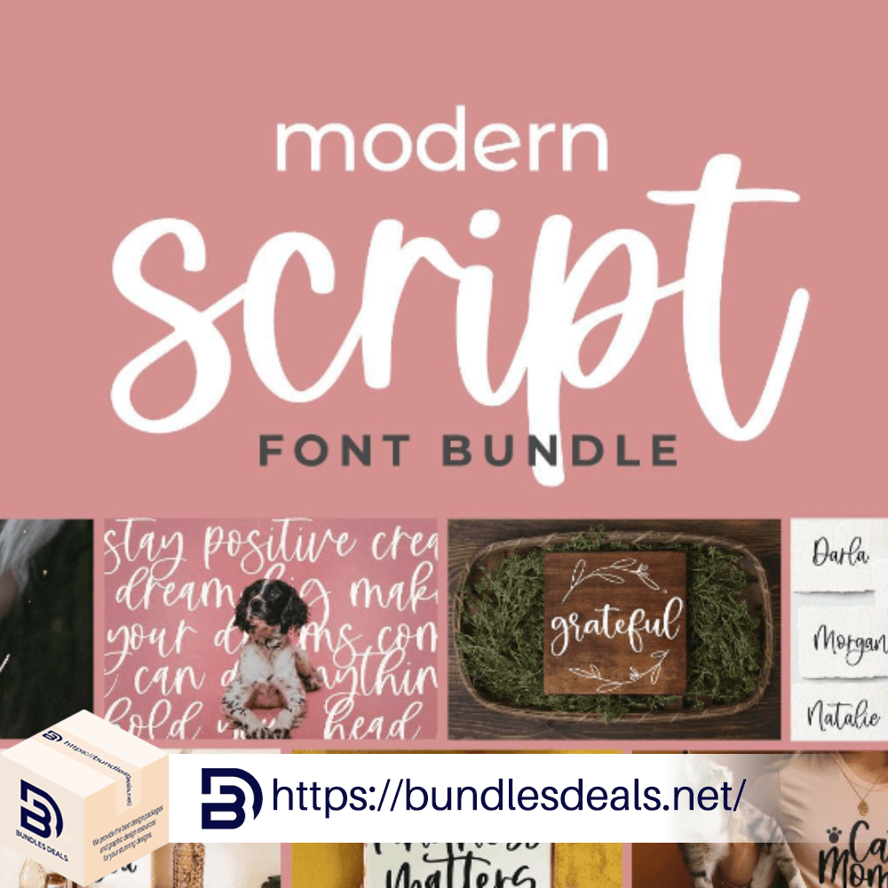 Modern Script Fonts Bundle | by Bundles Deals | Jan, 2024 | Medium