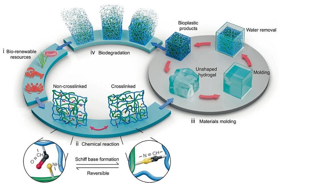 DNA Plastics: Recyclable, Biodegradable Revolution!