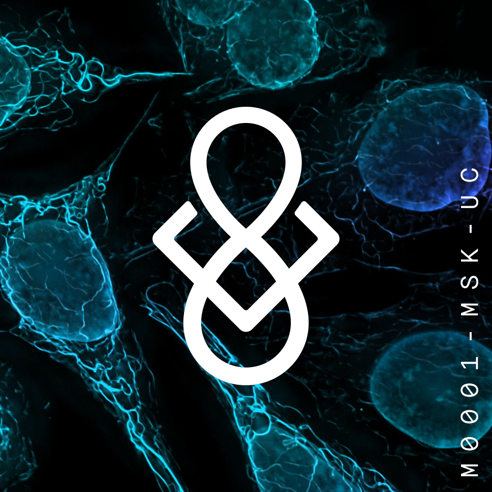 Thumbnail of IP-NFTs for Researchers: A New Biomedical Funding Paradigm