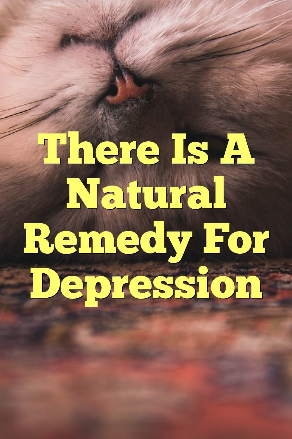 there-is-a-natural-remedy-for-depression-by-anxietyhospital-may