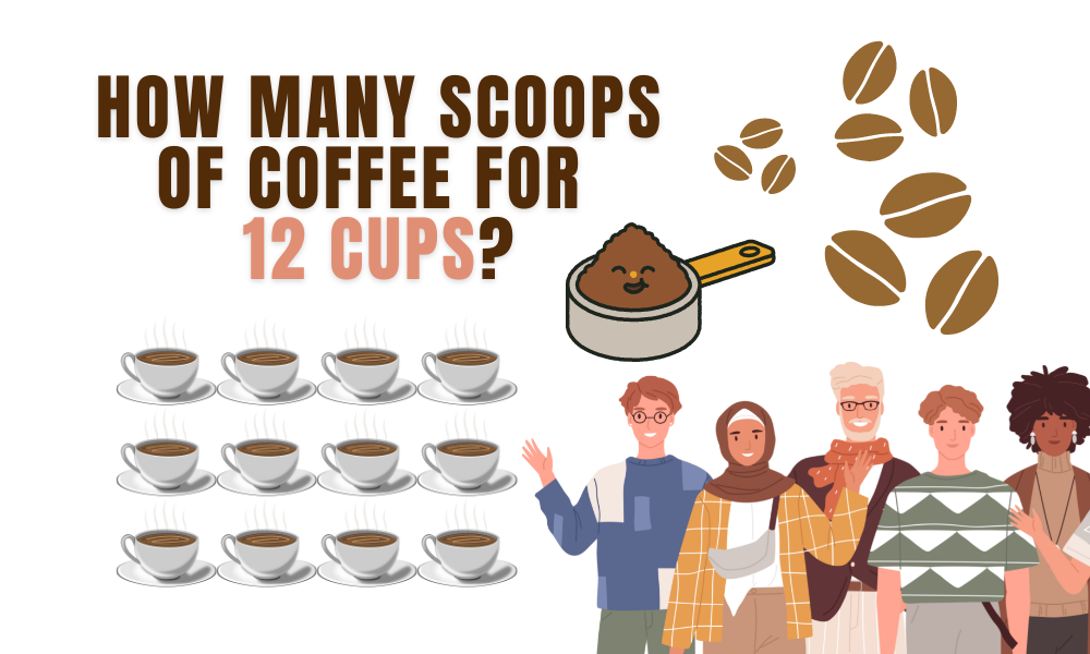 How many scoops of coffee for outlet 12 cups