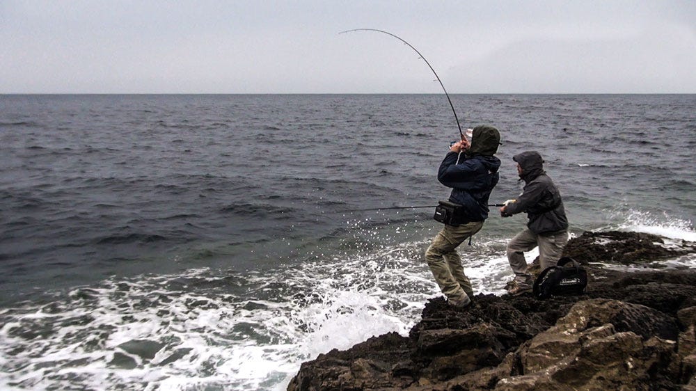 Saltwater Fishing 101 — Spinning, Bait Fishing, Surf Fishing, Popping,  Jigging, Trolling, by Amy Morton