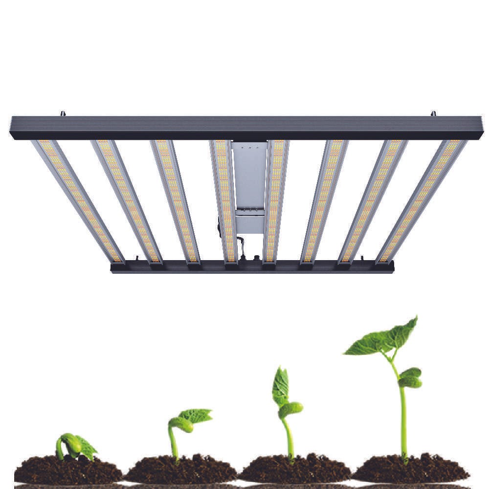 Why can indoor grow lights promote plant growth?Westland by Westland