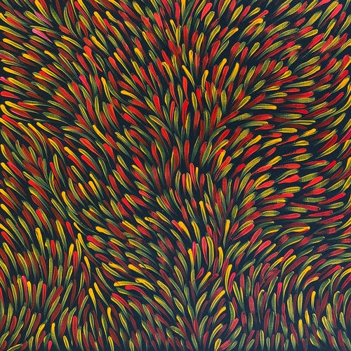 Gloria Tamerre Petyarre - Aboriginal Artist