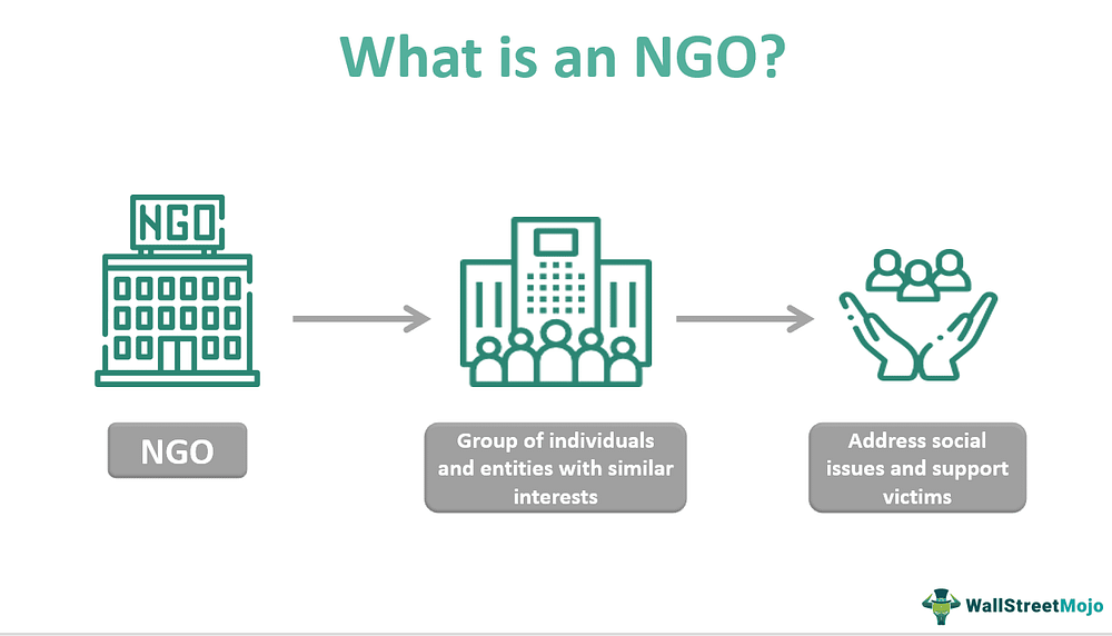How to Start an NGO. My Journey of Making a Difference by Aswathi
