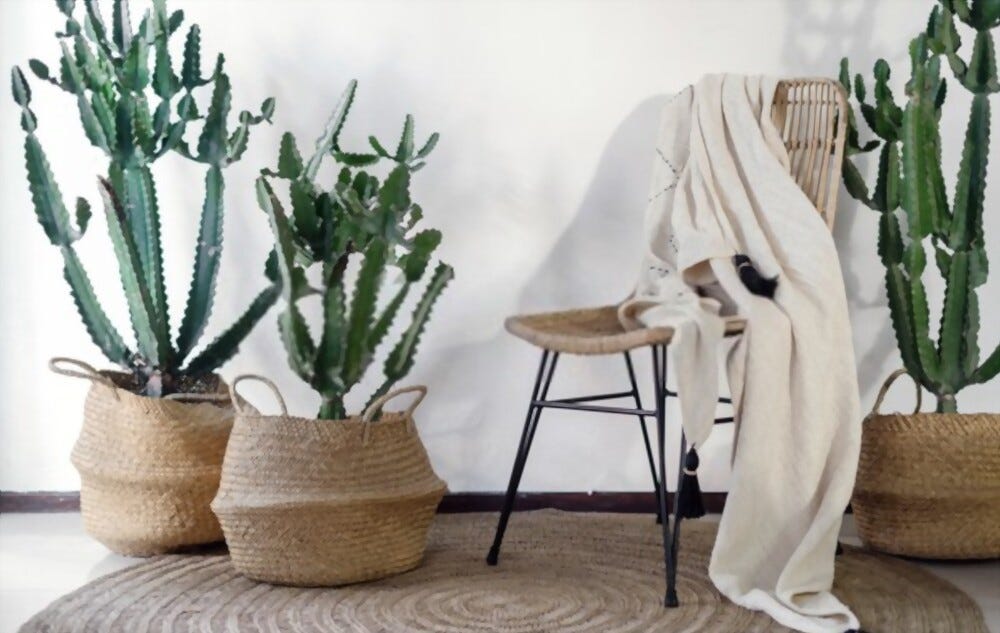 Clarify the repair of wicker furniture restoration | by Jardin Wicker